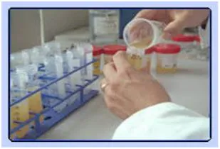 اجرای برنامه پایش ید ادراری دانش آموزان 8 تا 10 ساله  مدارس ابتدایی شهرستان مراغه در سال 96