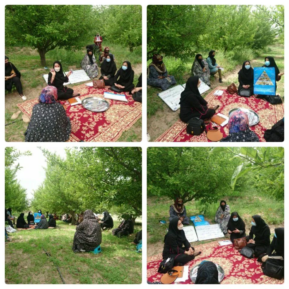 برگزاری کلاس طرح مشترک بهبودتغذیه سالم و ایجاد باغچه خانگی توسط کارشناسان جهادکشاورزی و گروه بهبود تغذیه معاونت بهداشتی دانشکده علوم پزشکی