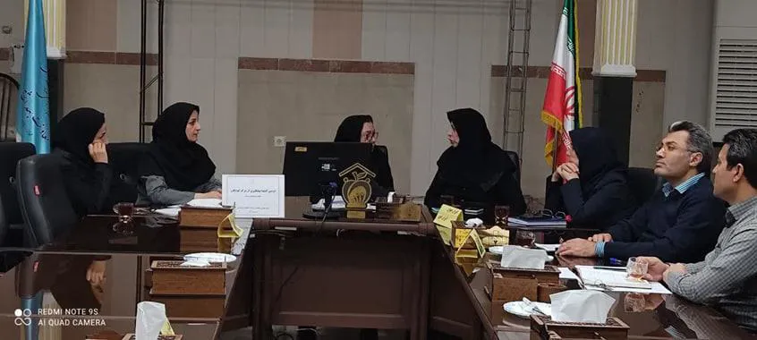 دومین کمیته پیشگیری از مرگ کودکان ۱ تا ۵۹ ماهه با هدف کاهش مرگ کودکان زیر پنج سال برگزار شد.